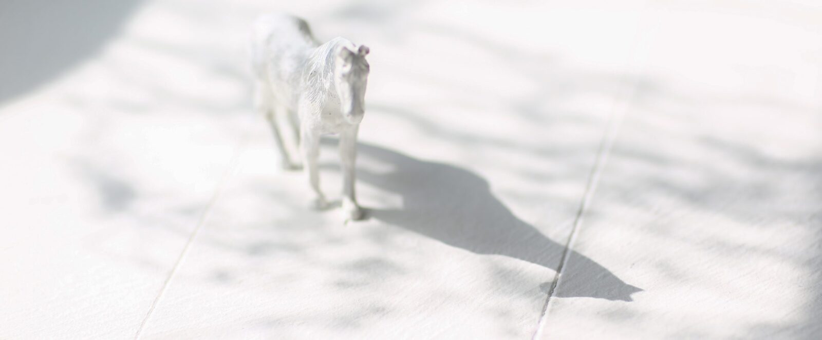 名古屋のおしゃれなフォトスタジオ